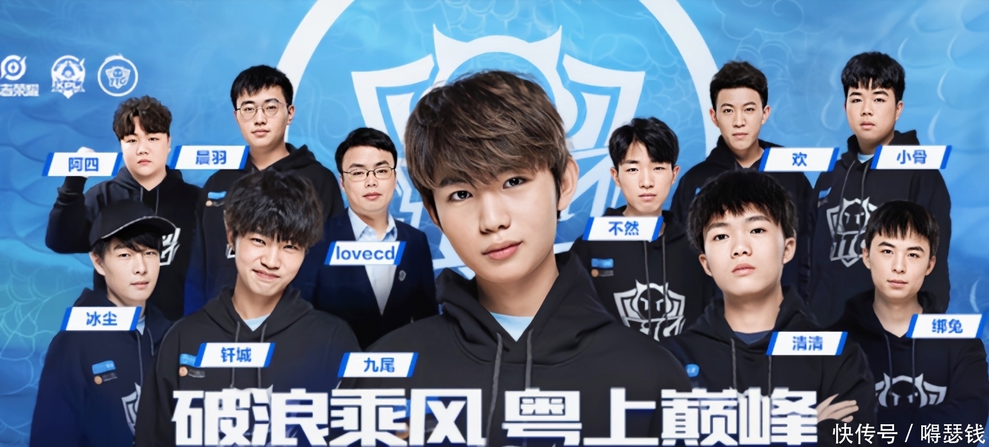 结果显示了
